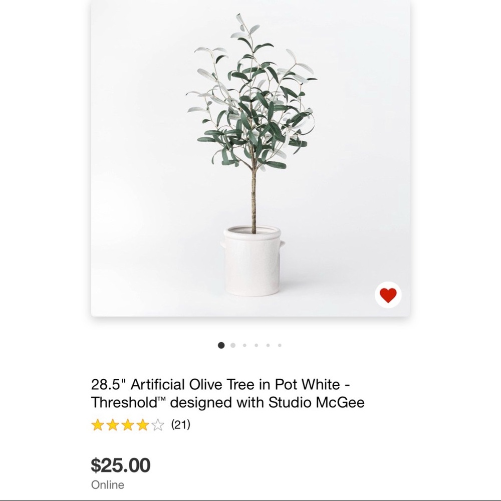 Looking for Olive Tree - Threshold Studio McGee